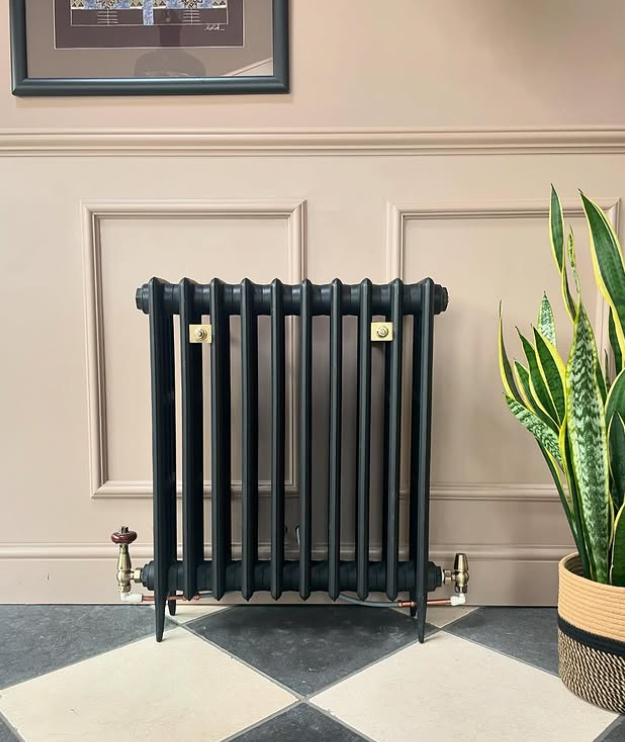 My Rad Rocks Spring 2025 @eatonhillfarm